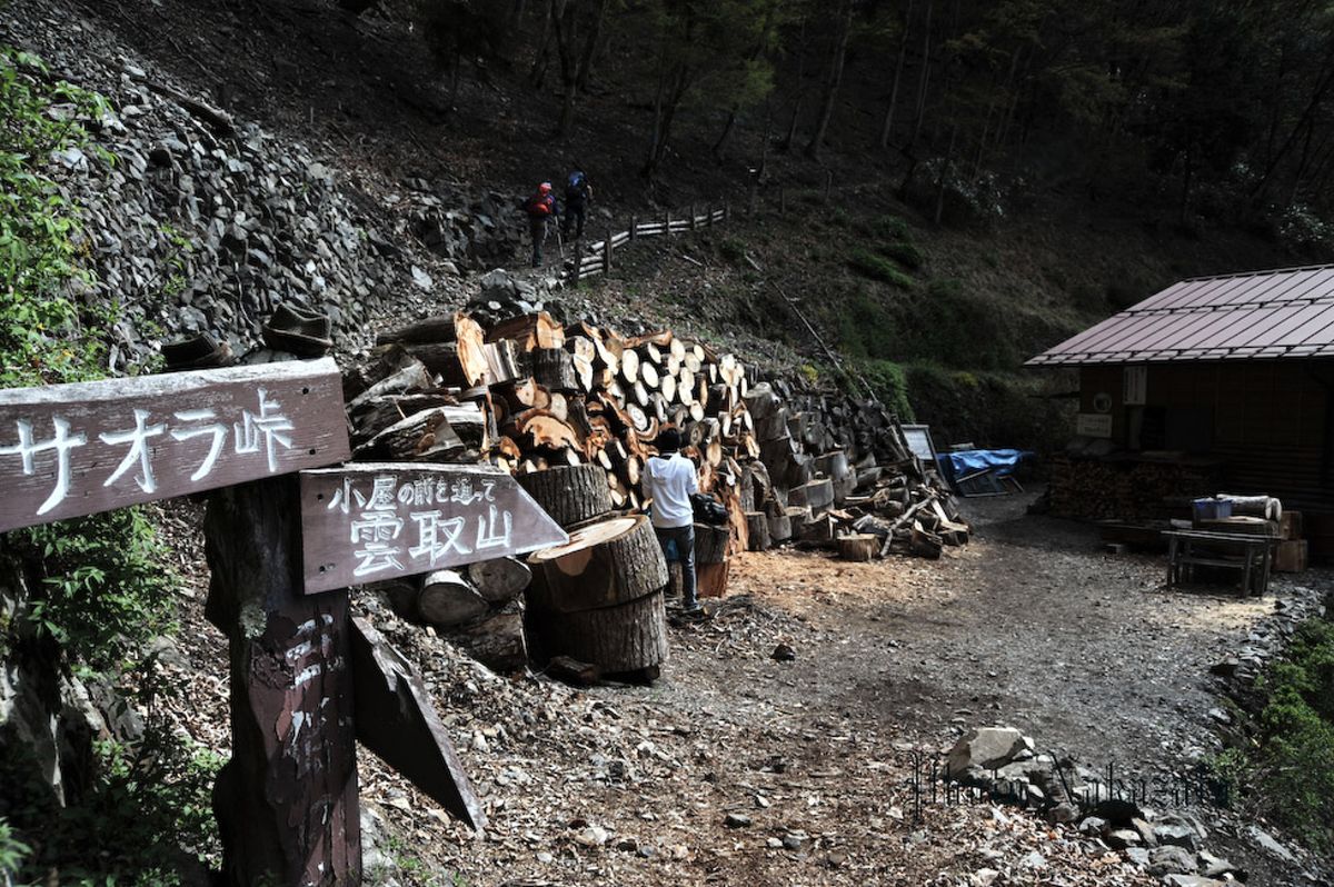 雲取山　日帰り登山